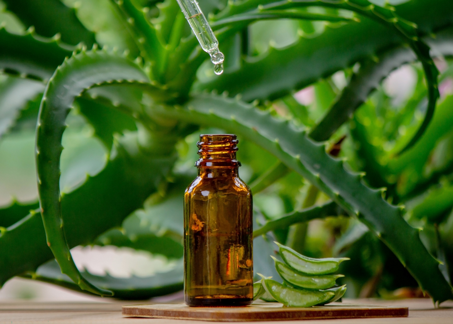 Aloe & Tea Tree Radiance Gel