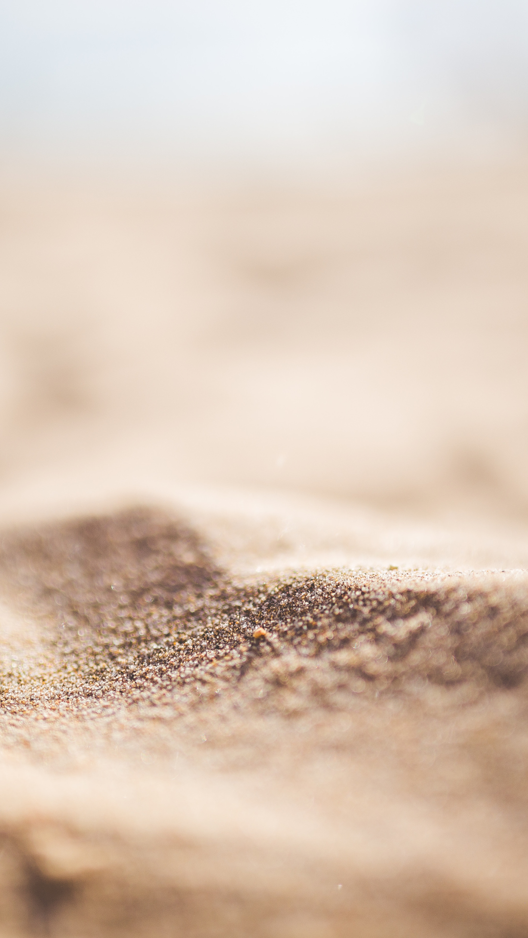 Exfoliating Luffa Bar